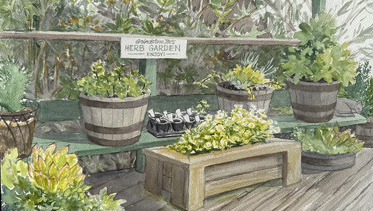 Planted Pepper Seeds