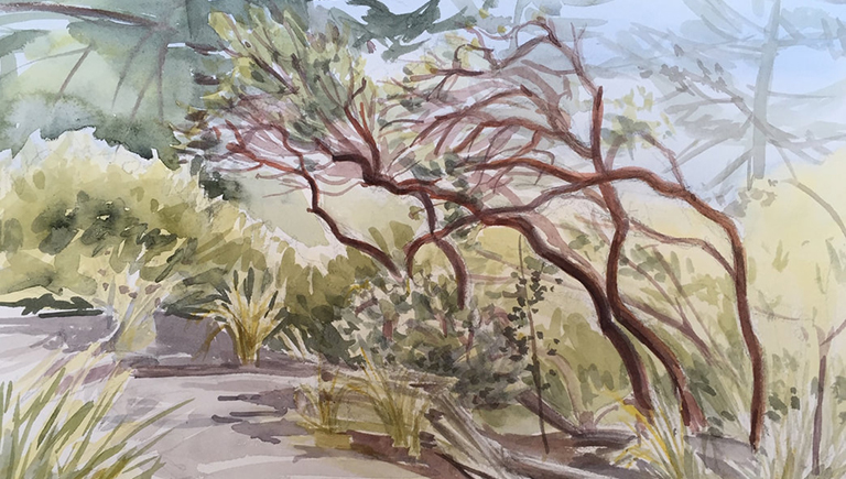 PLEIN AIR 20182019 8