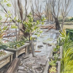 Flooding to the Patio