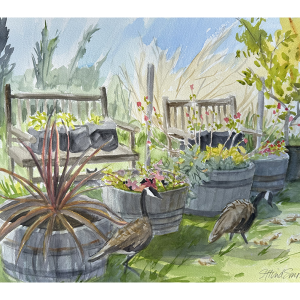 Geese in Garden