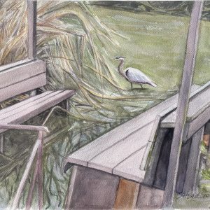 Great Heron in High Water