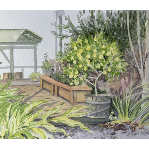 Lemon Tree in Spring