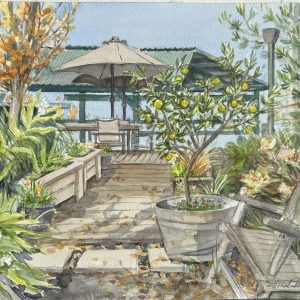 Lemon Tree in Winter