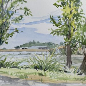 Tower Park Zucchini Shed