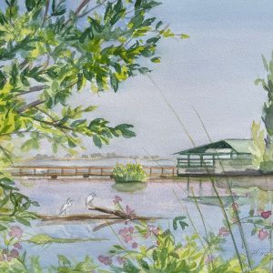 Two Egrets in Lagoon