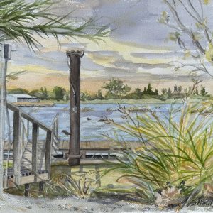 Where the Otters Play