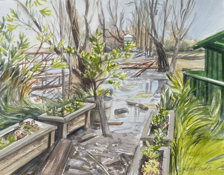 Flooding to Patio 2023